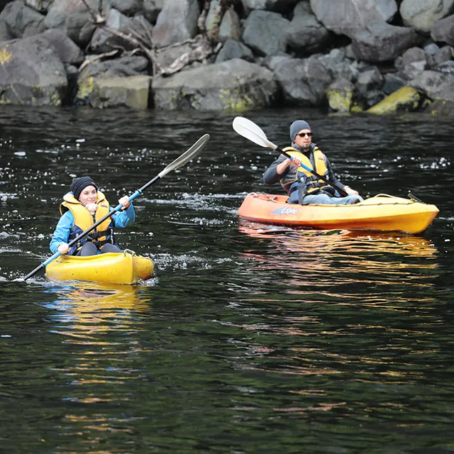 A male and female kayaking on two yellow kayaks in Doubtful sound.